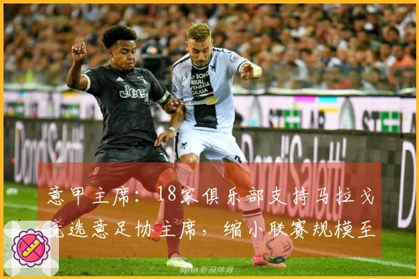 意甲主席：18家俱乐部支持马拉戈竞选意足协主席，缩小联赛规模至关重要