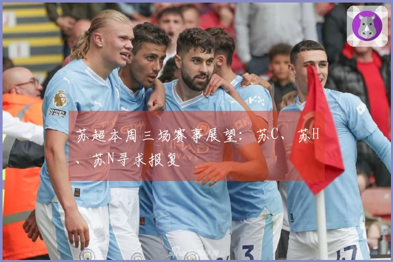 苏超本周三场赛事展望：苏C、苏H、苏N寻求报复